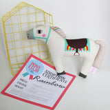 Pony Club